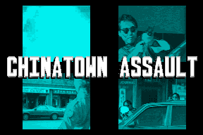 Lethal Enforcers 11